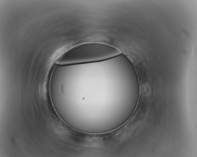 X0000114030340200910091439