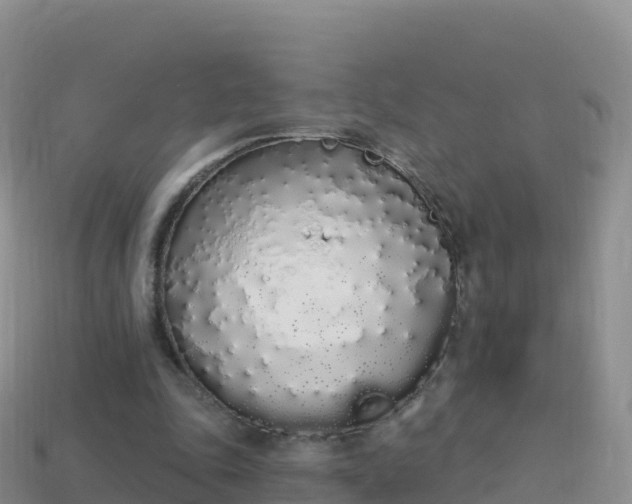 X0000114030343200910091439