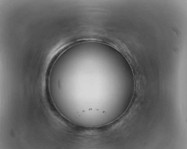 X0000114030344200910091439