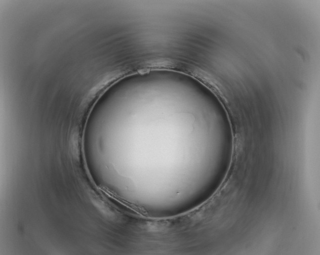 X0000114030345200910091439