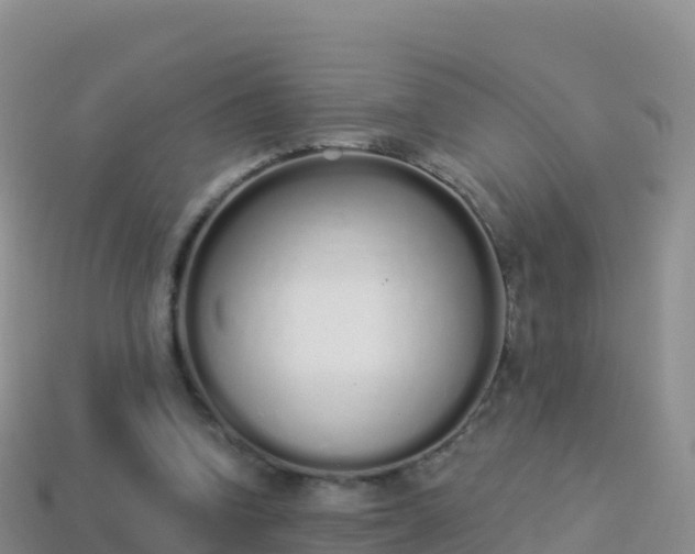 X0000114030346200910091439