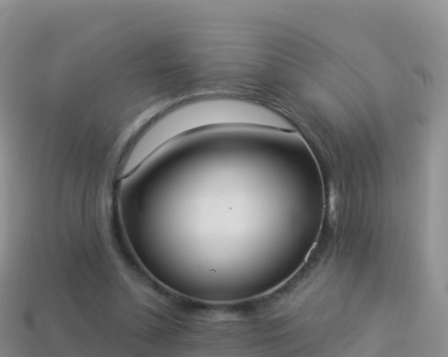 X0000114030348200910091439