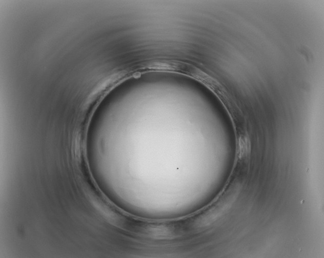 X0000114030349200910091439