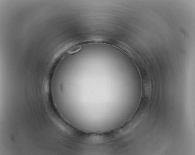 X0000114030350200910091439