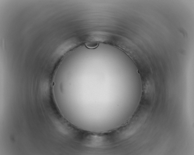 X0000114030352200910091439