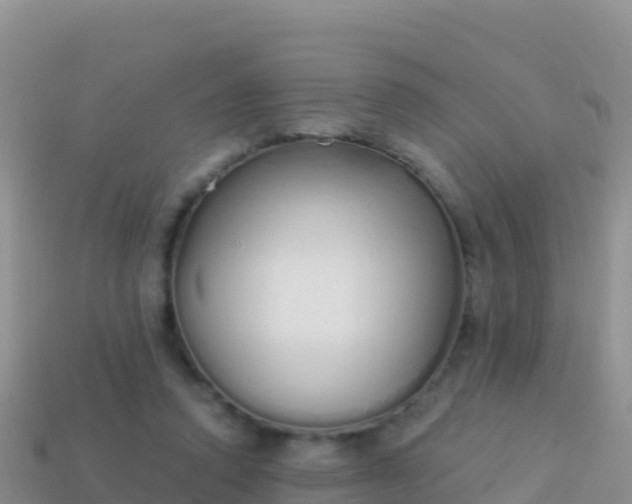 X0000114030354200910091439