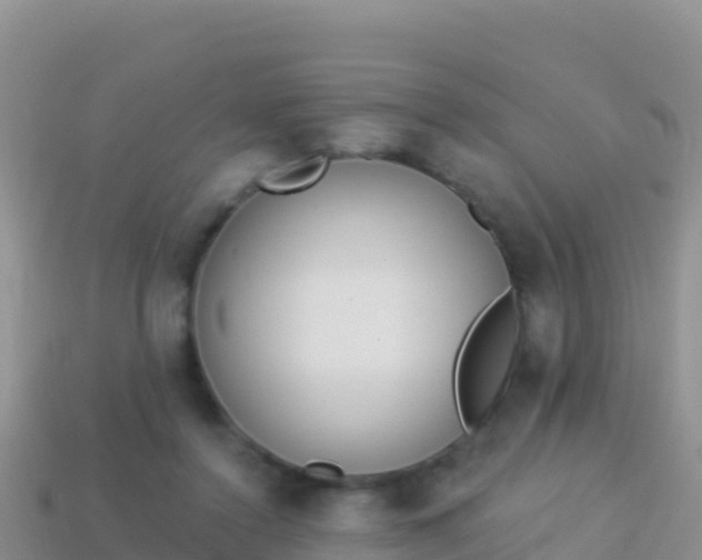 X0000114030356200910091439