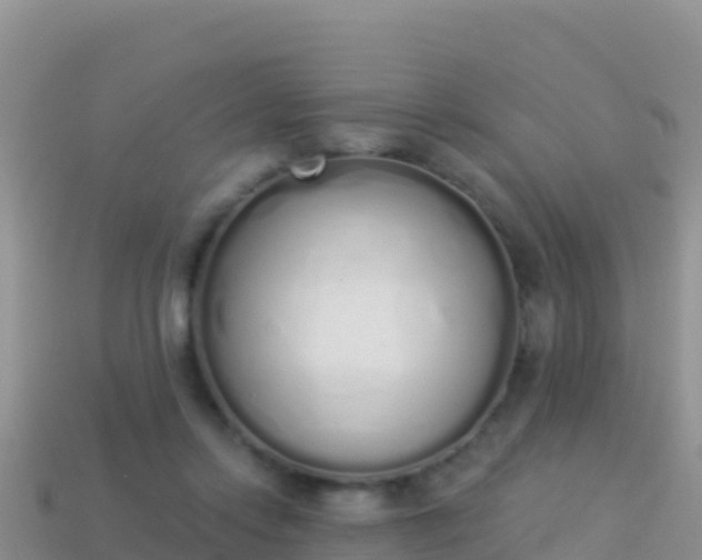 X0000114030358200910091439