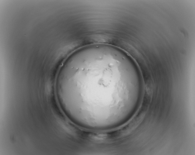 X0000114030359200910091439