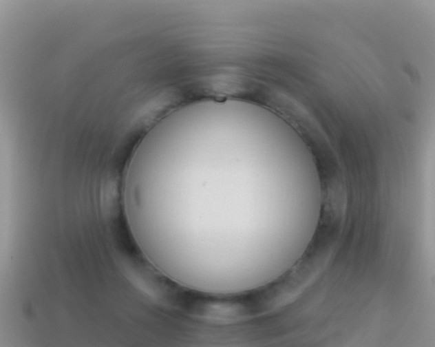 X0000114030360200910091439