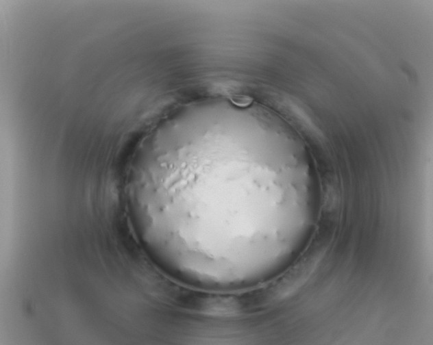 X0000114030363200910091439