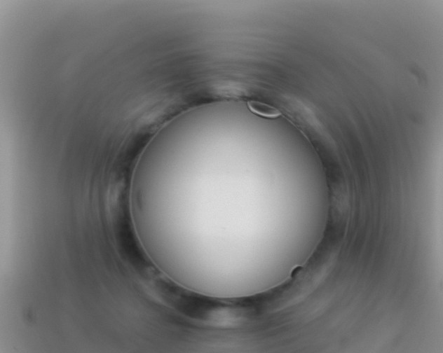 X0000114030364200910091439