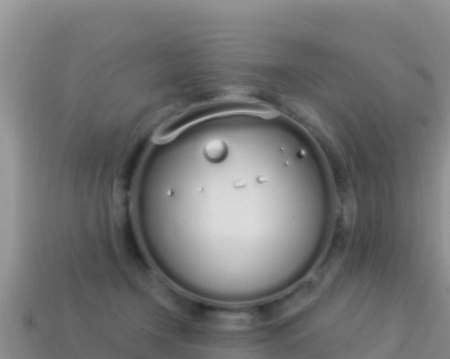 X0000114030366200910091439