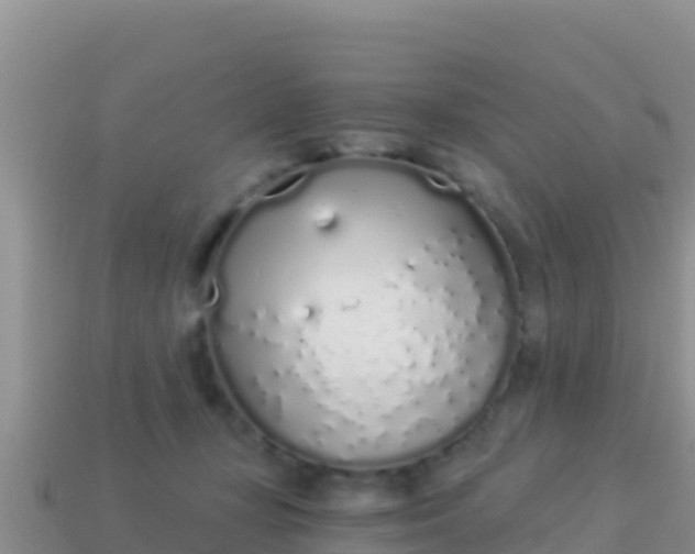 X0000114030367200910091439