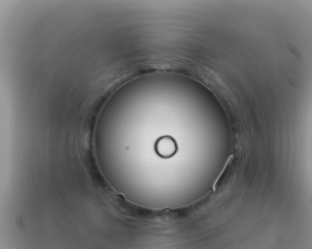 X0000114030368200910091439