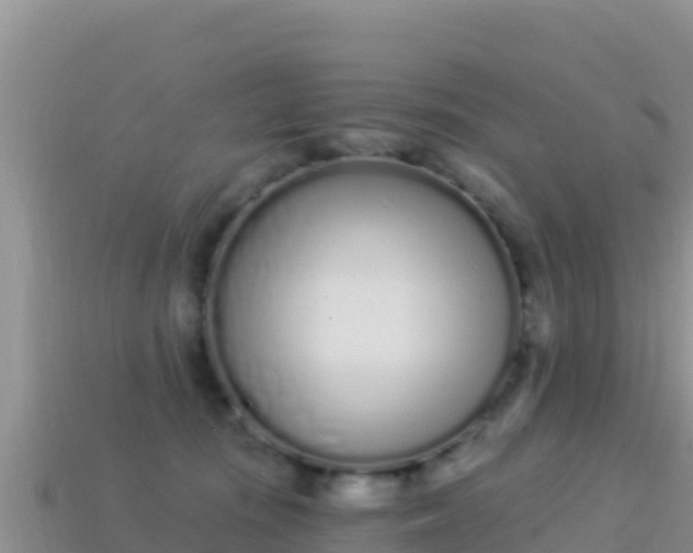 X0000114030371200910091439