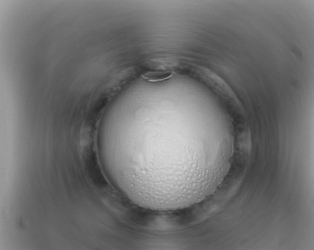 X0000114030372200910091439