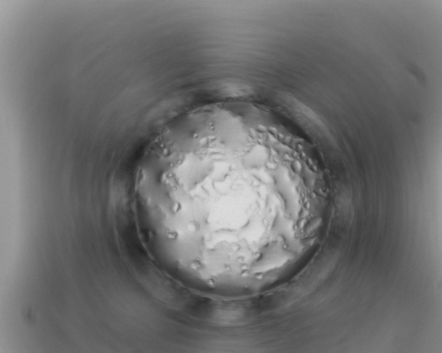 X0000114030373200910091439