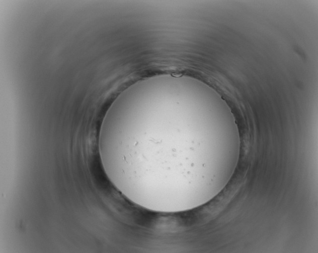 X0000114030376200910091439