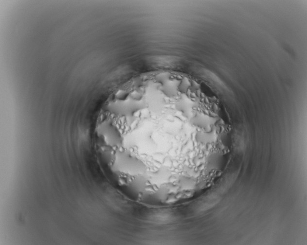 X0000114030377200910091439