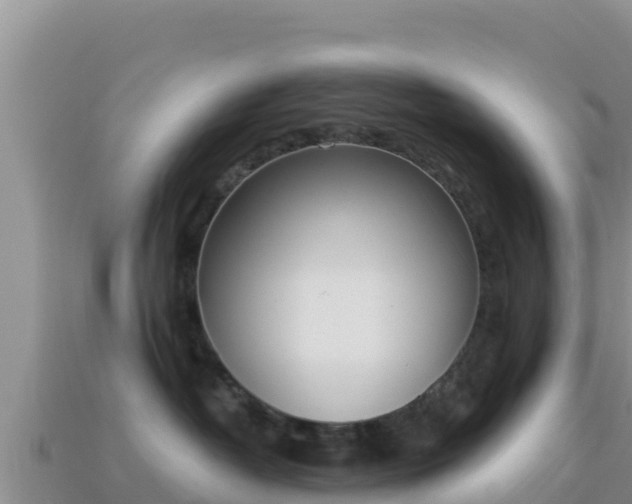 X0000114030382200910091439