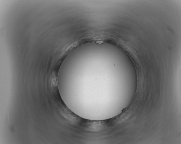 X0000114030384200910091439