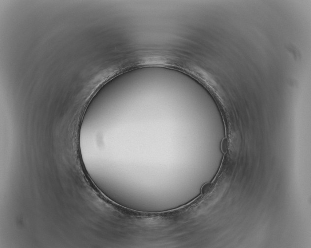 X0000114030385200910091439