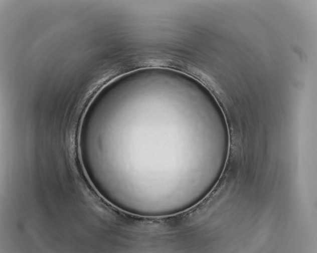 X0000114030386200910091439