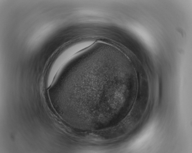 X0000114030387200910091439