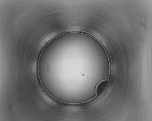 X0000114030389200910091439