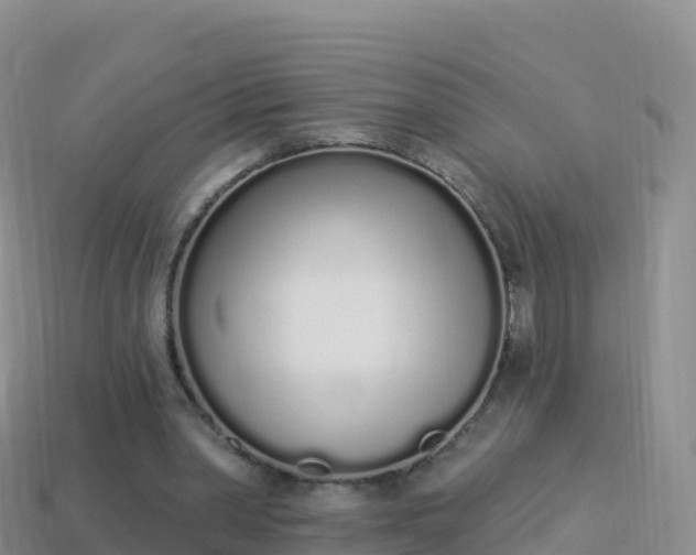 X0000114030390200910091439