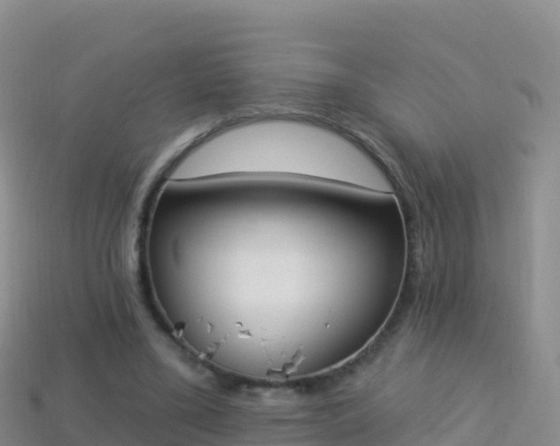 X0000114030395200910091438