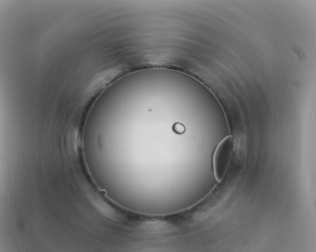 X0000114030397200910091438