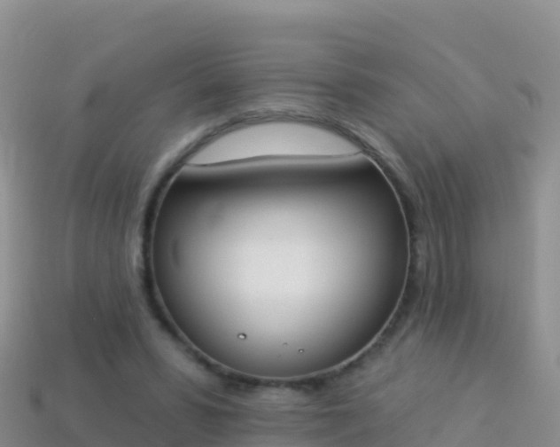 X0000114030399200910091438