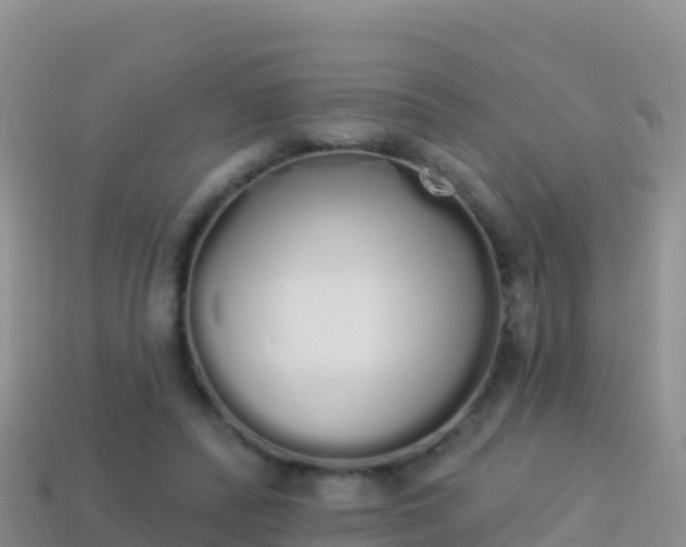 X0000114030400200910091438