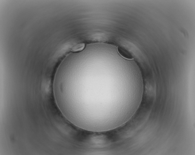 X0000114030403200910091438