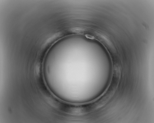 X0000114030404200910091438