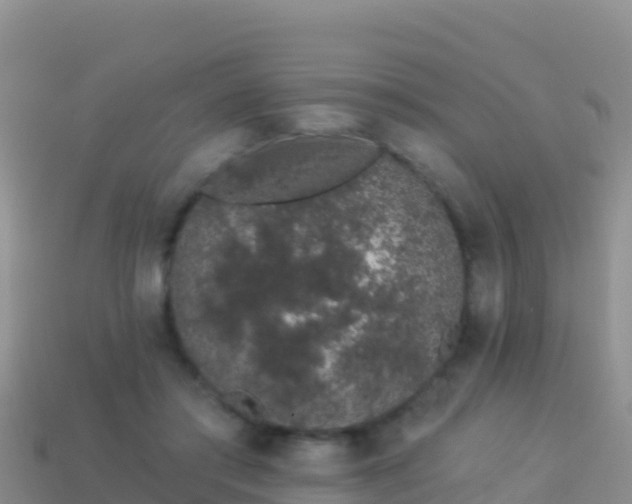 X0000114030405200910091438