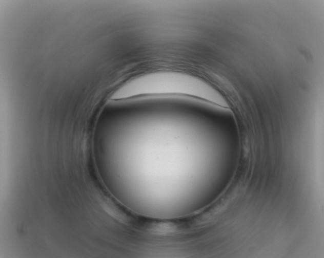 X0000114030409200910091438