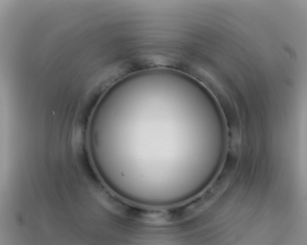 X0000114030410200910091438