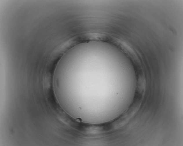 X0000114030413200910091438