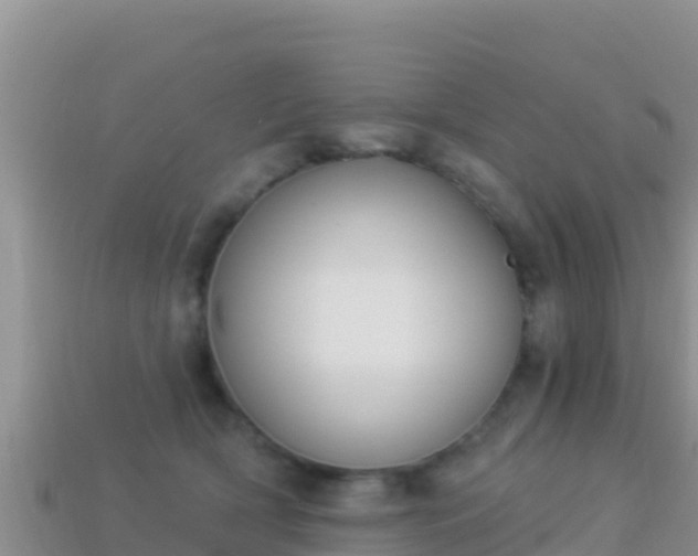 X0000114030418200910091438