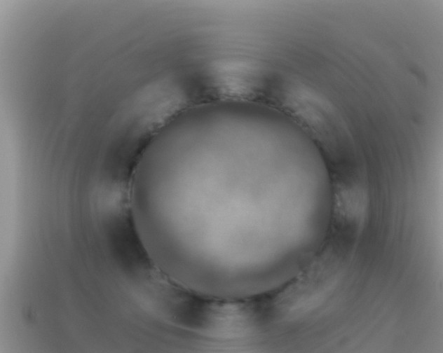 X0000114030419200910091438