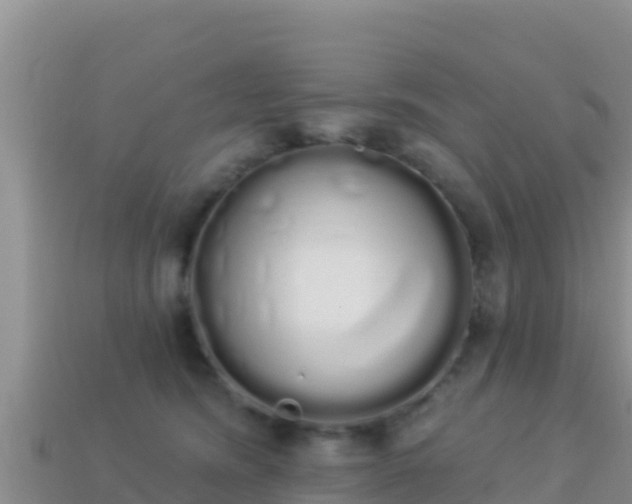 X0000114030420200910091438