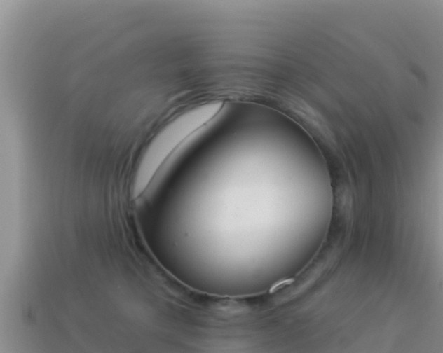 X0000114030421200910091438