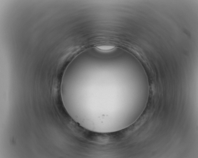 X0000114030423200910091438