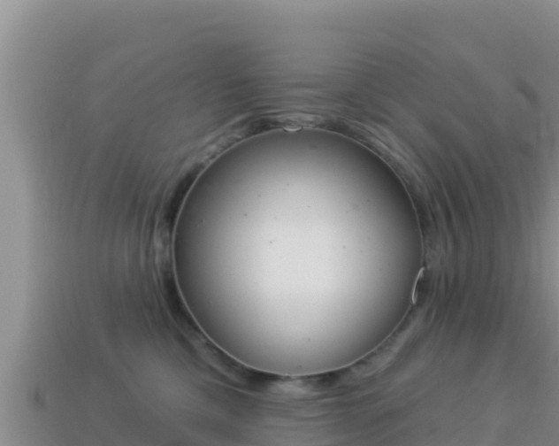 X0000114030425200910091438