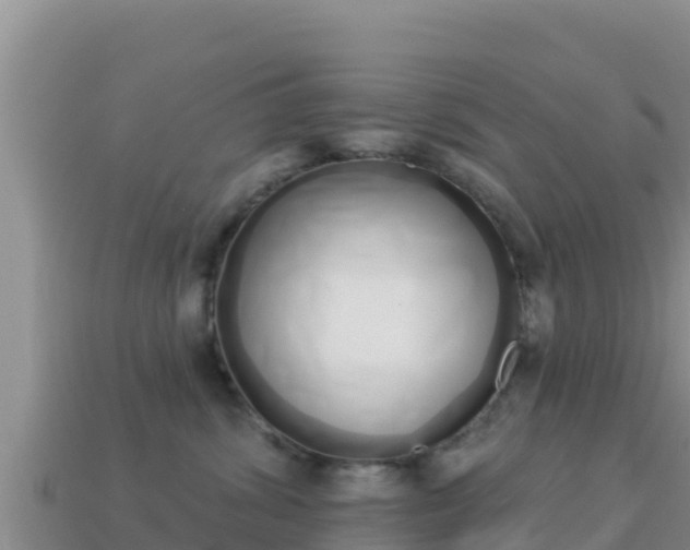 X0000114030428200910091438