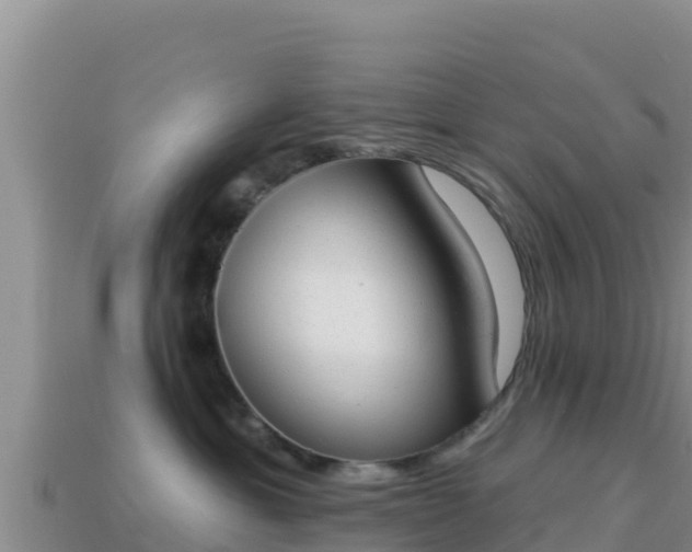 X0000114030429200910091438