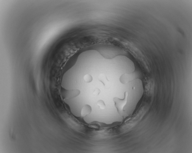 X0000114030430200910091438